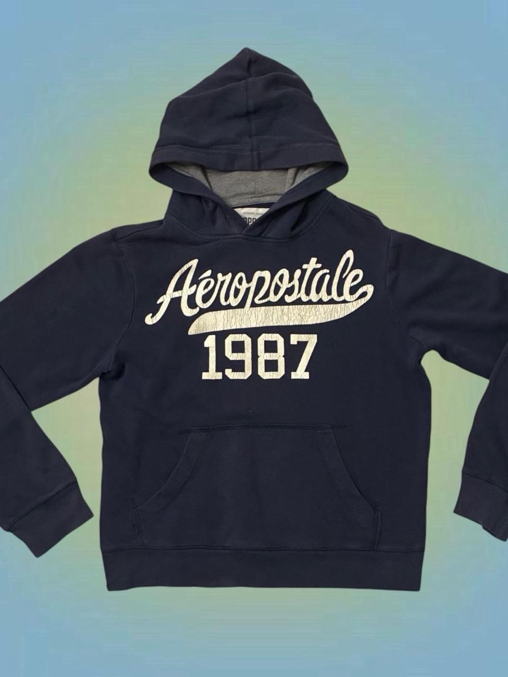 Aeropostale Navy and Gray Hooded Sweatshirt with Label